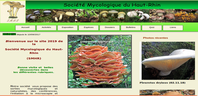http://www.societe-mycologique-du-haut-rhin.org/