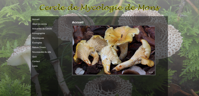 slide17